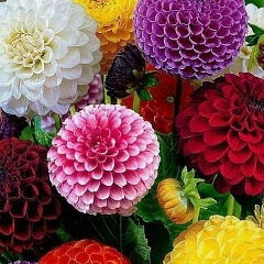 Зиёда Гапурова, 03.09.1986, Шымкент