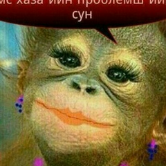 Зулихан Тушаева
