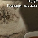 Ирина Игнатенко, 19.06, Санкт-Петербург