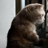 Нигора Юсупова, 14.12, Санкт-Петербург