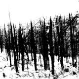 Лена Зайцева, 07.10.1986, Москва