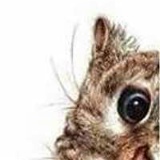 Елена Гладкова, 27.04, Псков