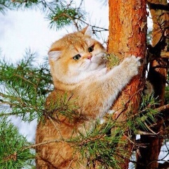 Ирина Рожнова, 15.08, Москва