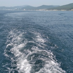 Константин Маничев, 01.02.1977, Санкт-Петербург