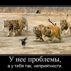 Александр Сороковский, 01.07.1981, Алматы