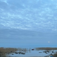 Андрей Румянцев