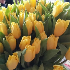 Айгуль Ахметова, Уфа