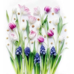 Татьяна Корнилова, 25.11.1985, Переславль-Залесский