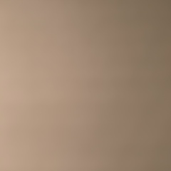 Сергей Шахов, Санкт-Петербург