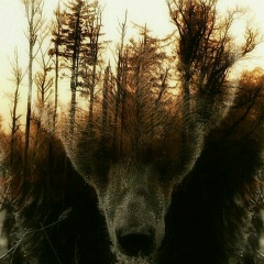 Евгений Новиченко, 10.07, Алматы