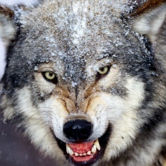 Андрей Рахин, 11.09.1970, Казань