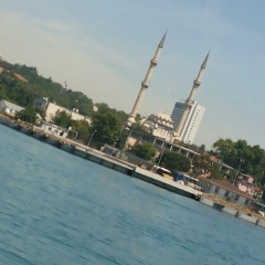 Фируза Саяпова, Ташкент