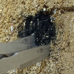 Сергей Смирнов, 11.02, Москва