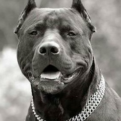 Ануар Алпысбай, 09.04, Актобе