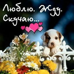 Алишер Бисенов, 04.06, Атырау