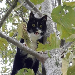 Ольга Елисеева, 02.10, Санкт-Петербург