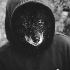 Дмитрий Фомичёв, Новосибирск