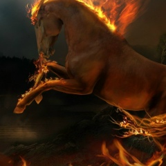 Антемир Антемиров, 20.01, Нальчик