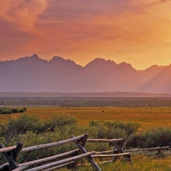 Dauletkerei Singer, 13.12.1987