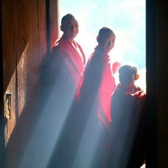 Максим Колчанов