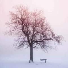 Koko Nay, 11.03.1992, Mandalay