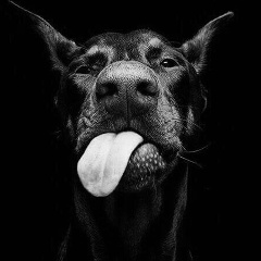 Саддам Ханагатулы, 15.04, Атырау