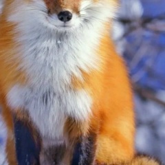 Ира Сафина, 27.06.2001, Москва