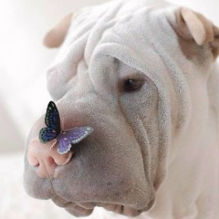 Таня Татьянина, 12.07, Санкт-Петербург