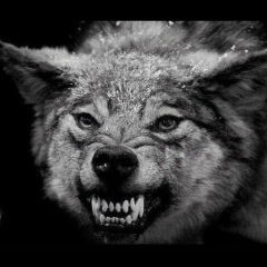 Виталий Пешеходько, 11.09.1950, Краснодар