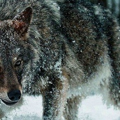 Александр Калентьев, 01.09.1985, Нижняя Салда