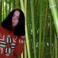 Равновесие Скошенной-Ноги-Суриката, 07.02