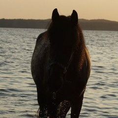 Ирина Никулина, 19.05, Санкт-Петербург