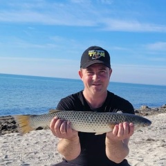 Олег Андрианов, 09.01, Мелитополь