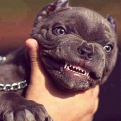 Maksat Marassulov, 07.07, Алматы