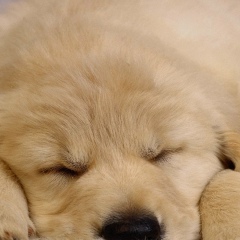 Ольга Тищенко, 21.06, Краснодар