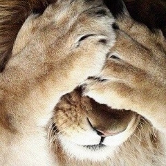 Фаррух Хамрабаев, 27.01