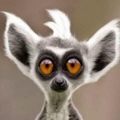 Сергей Палатовский, 17.06.1983, Алматы