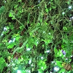 Мурад Магомедов, 06.11, Москва