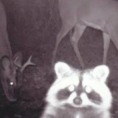 Гриша Бирюков, 01.09.2001, Красноярск