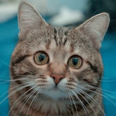 Дмитрий Ильинский, 27.12.1988, Москва