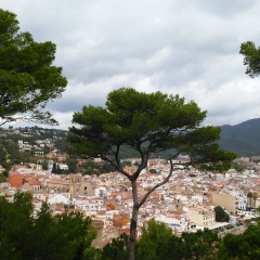 Алёна Золотковская, 01.03, Hamburg