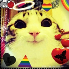 Артём Журкин, 03.08, Измаил