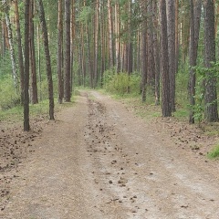 Наталья Гайворонская, 14.10, Новосибирск