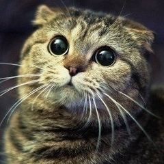 Bulat Lomiev, 21.04.1994