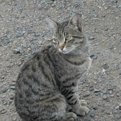 Дмитрий Колпаков, 04.11, Москва