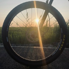 Константин Ткаченко, 18.12.1984, Курган