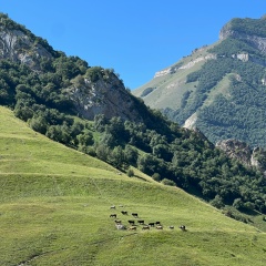 Алия Тиджара, 29.05.1983, Ижевск