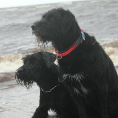 Екатерина Тимофеева, 21.02, Санкт-Петербург