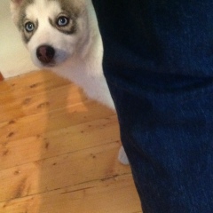 Алексей Писарев, 20.03.1983, Курск