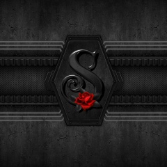 Shahin Sadiqov, Баку